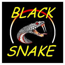 Black Snake recovery - DNA Off Road Pty Ltd